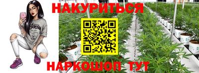 прущие крисы Малгобек