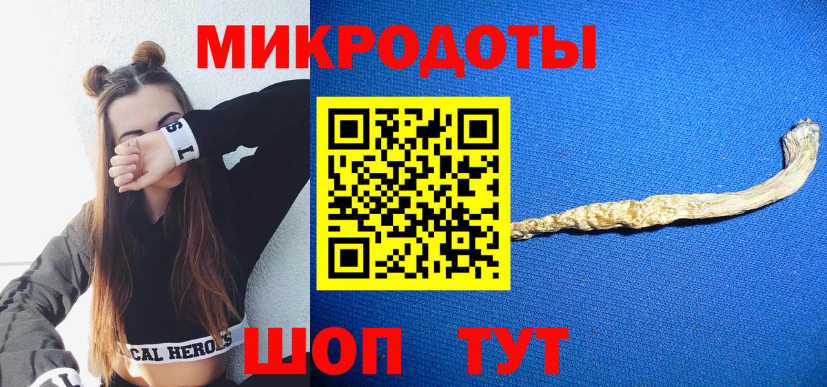 Псилоцибиновые грибы GOLDEN TEACHER  Вход с VPN  где купить наркоту  Домодедово  Псилоцибиновые грибы GOLDEN TEACHER 